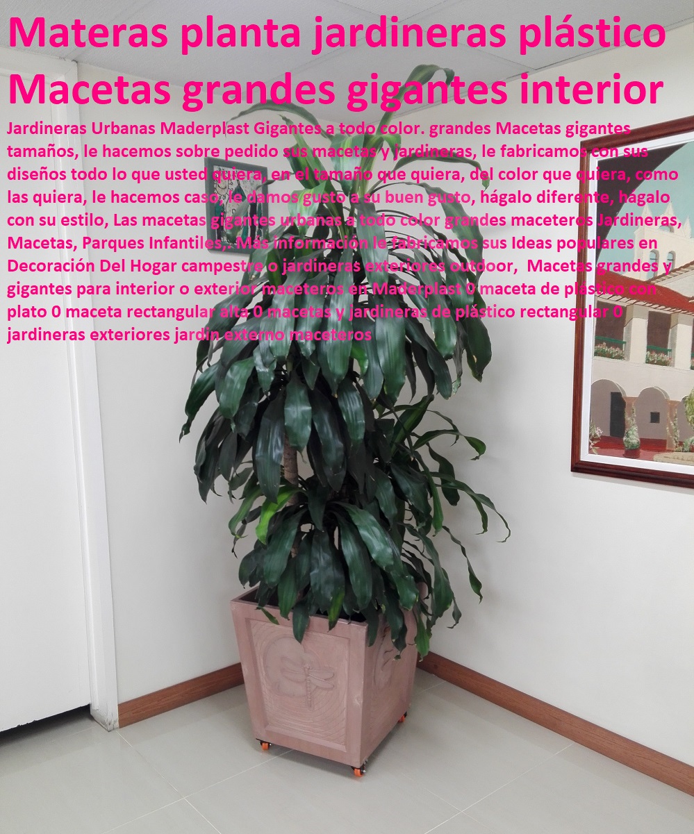 Macetas grandes y gigantes para interior o Proyectos Innovadores en Plástico, Nuevas Tecnologías de Plásticos, Nuevos Productos Maderplast, Novedades Plásticas Maderplast, Diseño Desarrollo de Productos en Plástico, Modernos Desarrollos en Plástico, Novedades y Productos Para Comercializar, exterior maceteros en Maderplast 0 maceta de plástico con plato 0 maceta rectangular alta 0 macetas y jardineras de plástico rectangular 0 jardineras exteriores jardin externo maceteros Macetas grandes y gigantes para interior o exterior maceteros en Maderplast 0 maceta de plástico con plato 0 maceta rectangular alta 0 macetas y jardineras de plástico rectangular 0 jardineras exteriores jardin externo maceteros